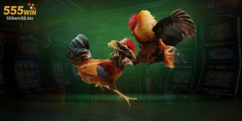 Hình ảnh chương trình khuyến mãi Đá Gà 555WIN nổi bật trên trang chính