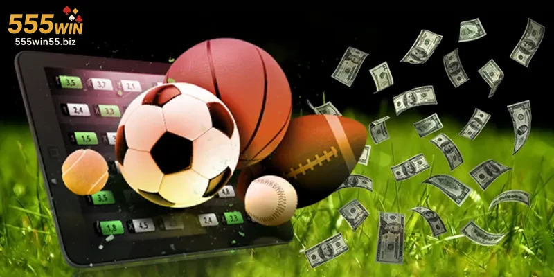 Hình ảnh giao diện trực quan của Thể Thao 555WIN trên nền tảng web